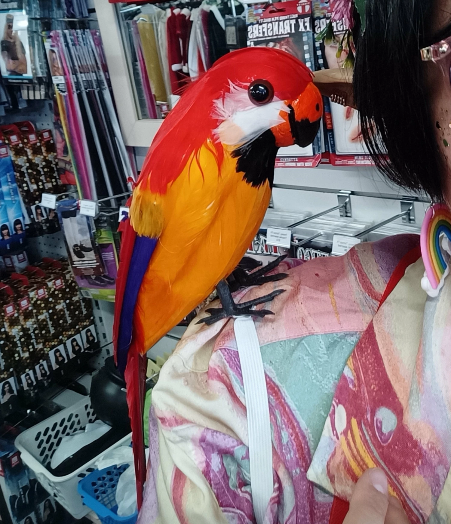 Pirate Shoulder Parrot 4 Pirate Shoulder Parrot - Image 2