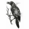 Tinsley Temp Tattoo - The Raven -Smiffys Shop GTH217 the raven goth tempt tattoo cr