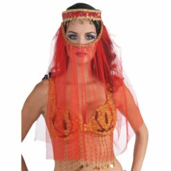 Desert Princess Headpiece With Veil