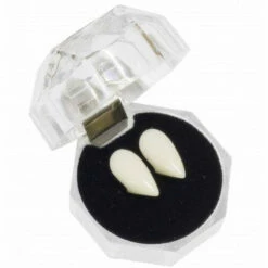 Vampire Fangs Teeth In Crystal Case