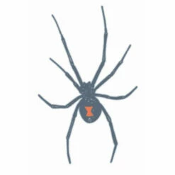 Tinsley Temp Tattoo - Black Widow