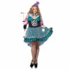 Crazy Hatter Ladies Costume - Hire -Smiffys Shop crazy hatter ladies costume hire cr
