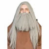 Grey Wizard Wig And Beard Set -Smiffys Shop grey wig and beard set mens fancy dress costumes brisbane cr