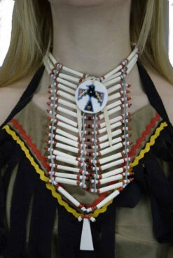 Native American Shield Small