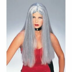 Long Grey Wig - Ladies