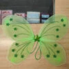 Butterfly Wings - Assorted Colours -Smiffys Shop wingsgreen